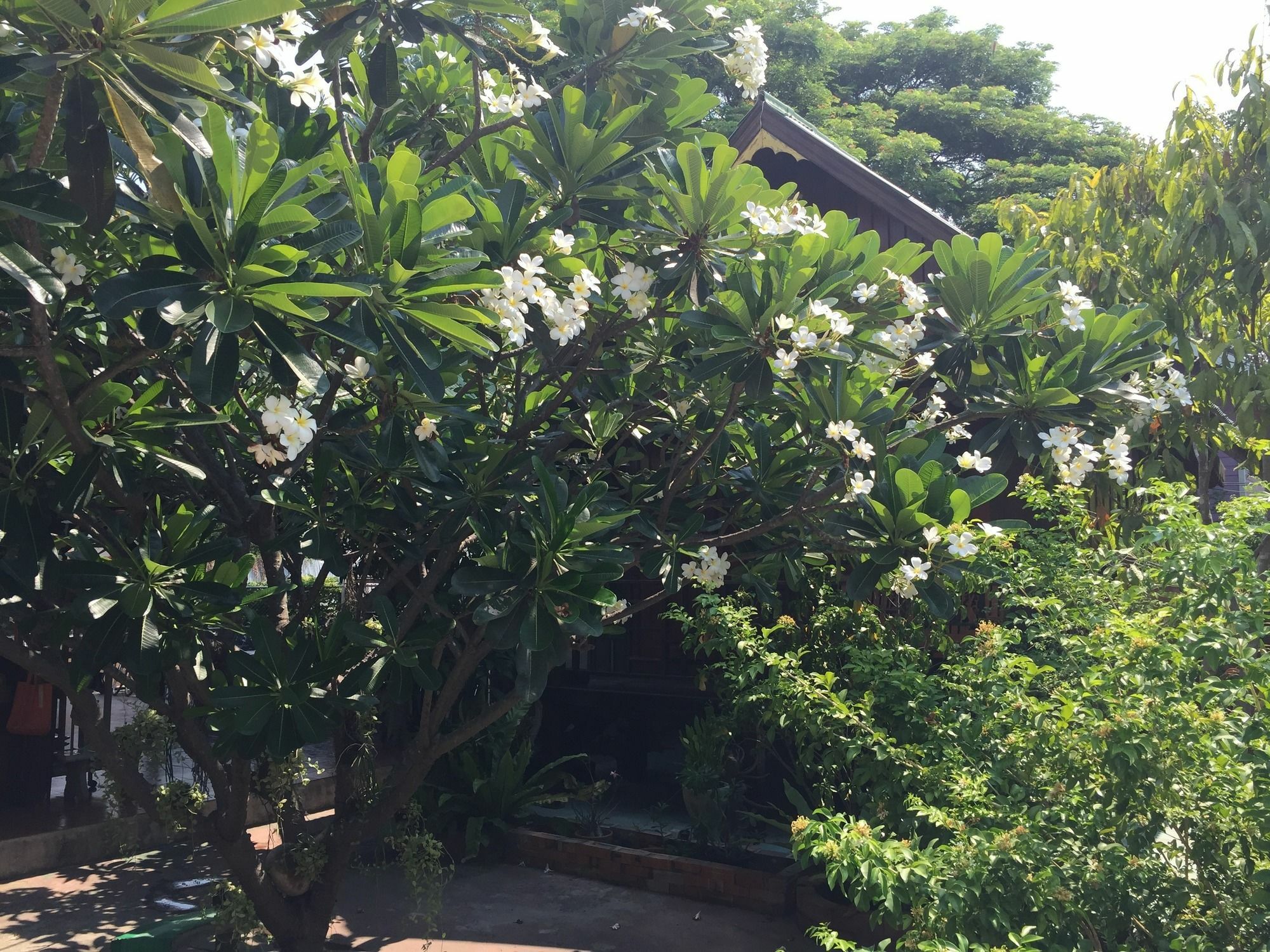 Baan Kong Homestay Phra Nakhon Si Ayutthaya Exterior foto